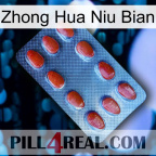 Zhong Hua Niu Bian 06